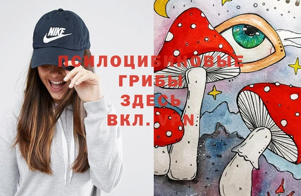 амф Вязники