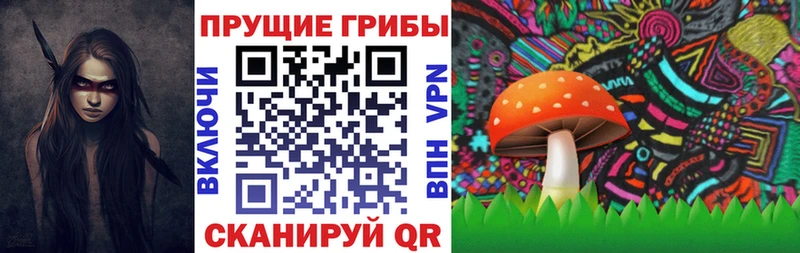 Галлюциногенные грибы Cubensis  купить  сайты  Хасавюрт 